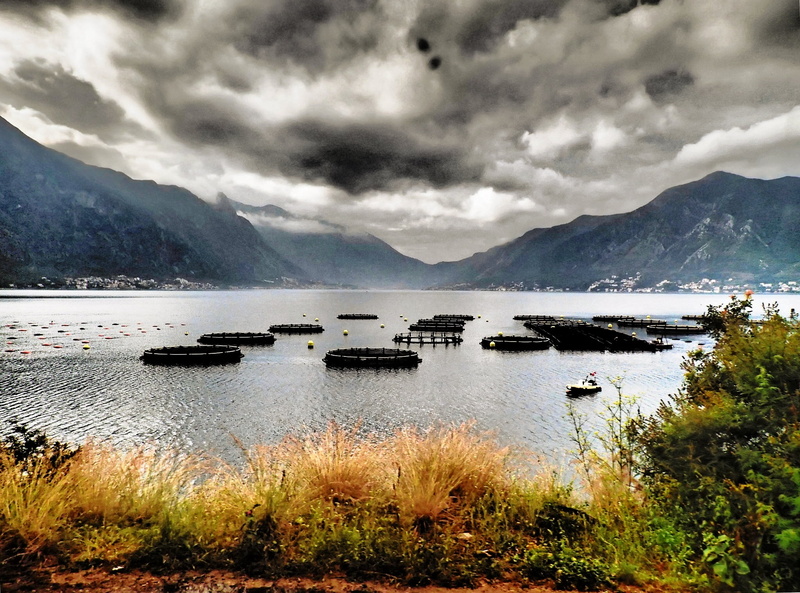 landscape, basket, Bay of Kotor, River, Perast, islands, photo, mountains, Mediterranean Sea, water, outdoors, Adriatic, day, Orjen, Lovcen, Balkans, Bay