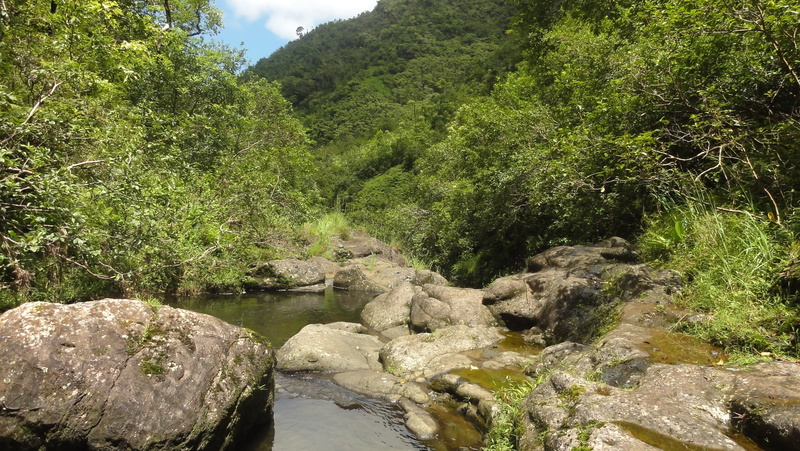 nature, tranquility, scenic, river, growth, beauty in nature, waterfall, flowing, kauai, landscape, island, flowing water, plant, rock - Object, stream - flowing water