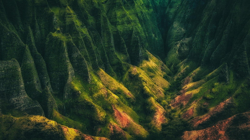 tree, idyllic, Kauai, non-urban scene, lush foliage, Valley, Shrubs, Hawaii, tranquility, coniferous tree, land, plant, beauty in nature, forest, scenics - nature