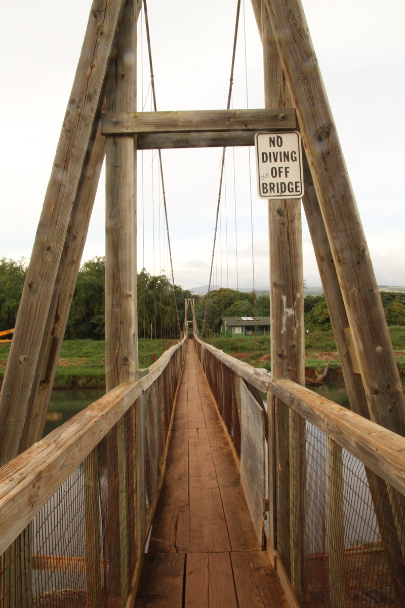 railing, suspension bridge, plant, architecture, transportation, Kauai, Hawaii, nature, long, footbridge, River, Bridge, 5K, wood bridge, direction, no people