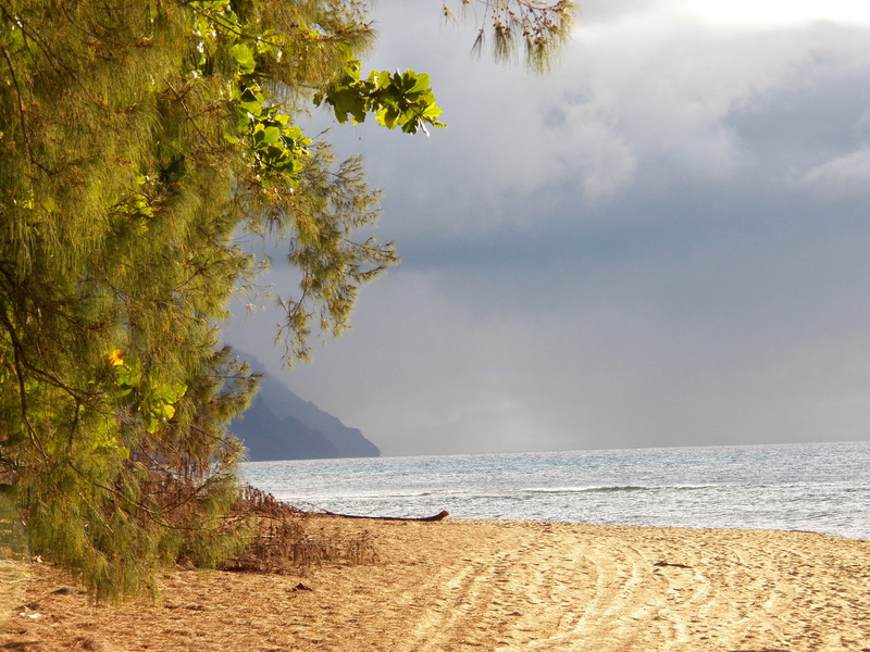 scenics - nature, no people, beauty in nature, sky, day, horizon, land, idyllic, sand, horizon over water, tranquility, hawaii, outdoors, recreation, leisure