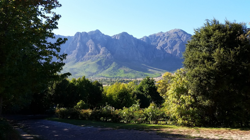 view from hillcrest berry orchard, 2K, environment, stellenbosch, abies, tranquil scene, sunlight, mountain range, western cape, idyllic, scenery, south africa