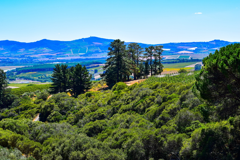 tranquility, beauty in nature, outdoors, scenics - nature, environment, land, travel, plant, growth, landscape, green color, non-urban scene, remote, western cape