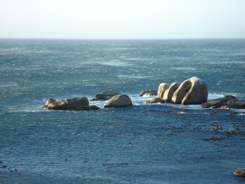 water, land, Cape Town, animal wildlife, group of animals, sky, scenics - nature, animals in the wild, marine, relaxation, wind, animal, mammal, no people