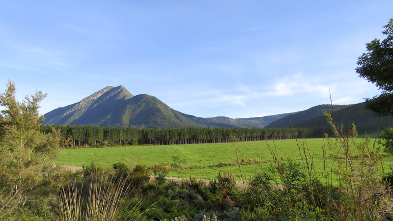 Western Cape, non-urban scene, scenery, South Africa, nature, Tsitsikamma, tranquility, scenics, beautiful landscapes, wild, day, field, green, beauty in nature