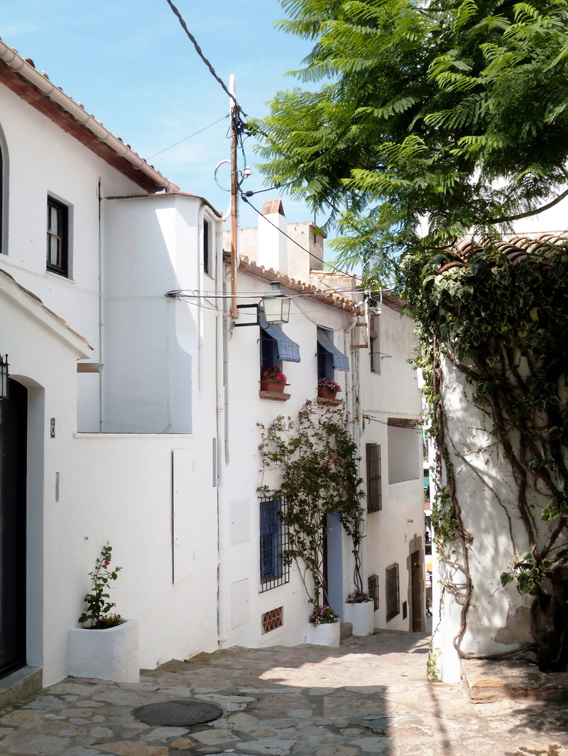 residential district, sunny, tree, white, building exterior, costa brava, rustic, catalonia, city, alley, direction, facade, sailor, stone, mediterranean
