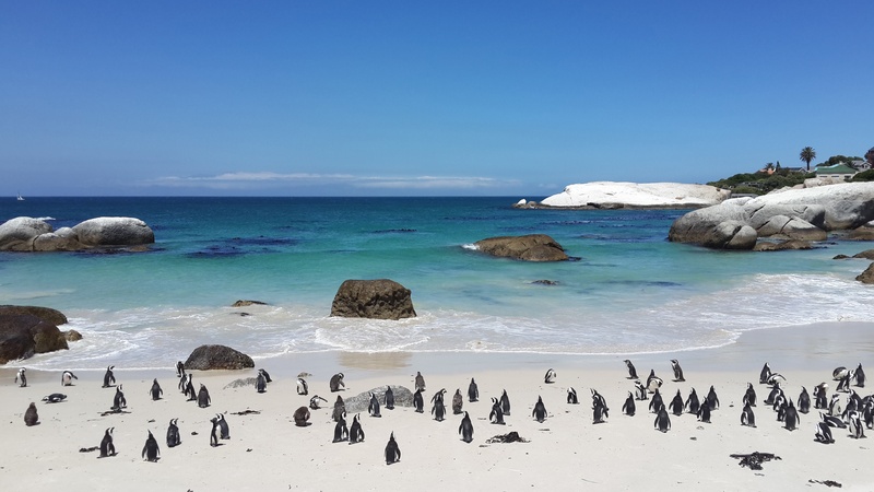 holiday, 2K, sand, cape, landscape, rock - object, animals in the wild, horizon over water, white, sky, rock, land, boulders, nature, water, bird, solid
