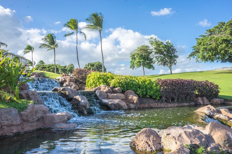 oahu, rock, tree, ko olina, travel, cloud - sky, water, nature, photography, scenics - nature, green color, flowing water, summer, sky, tranquility, hawaii