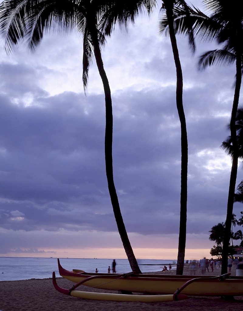 palm trees, usa, silhouettes, tourists, dusk, seascape, land, horizon over water, hawaii, evening, island, nautical vessel, no people, outdoors, 1080P