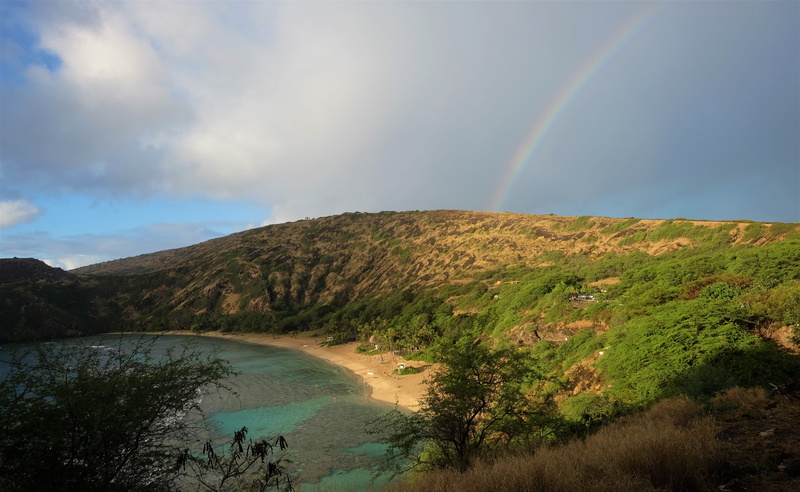 sky, scenics - nature, hawaii, countryside, ocean, shoreline, plant, mountain, rainbow, coast, nature, united states, water, double rainbow, landscape