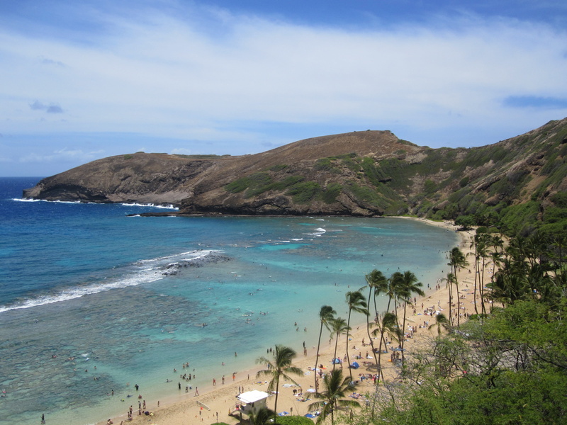 land, beauty in nature, day, scenics, hawaii, idyllic, tranquility, island, blue, tranquil scene, tree, booked, scenics - nature, cloud - sky, beach, aerial