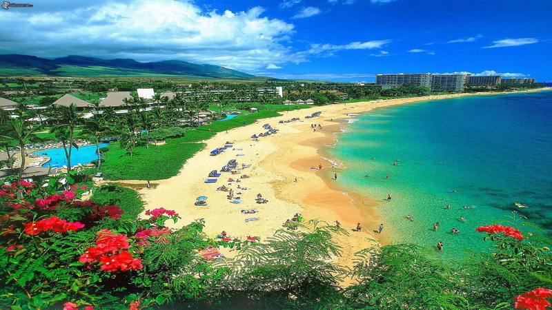 2K, hawai, playa, mar