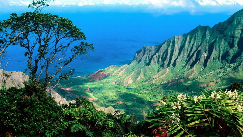 2K, hawai