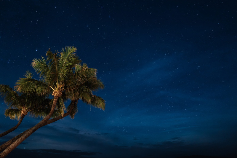  cloud, sky, night, tree, nightscape, star, nighttime, palm, coconut, moonlight, ocean, tree trunk, growth, star - space, coconut palm tree, blue