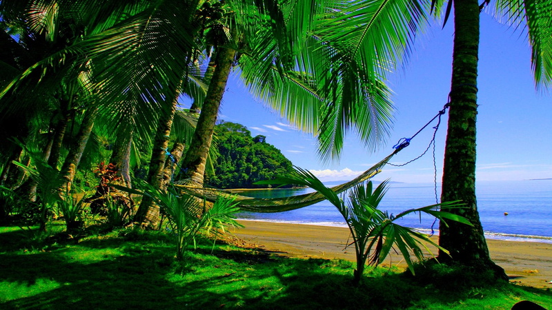 hawai, green, paradise, 2K