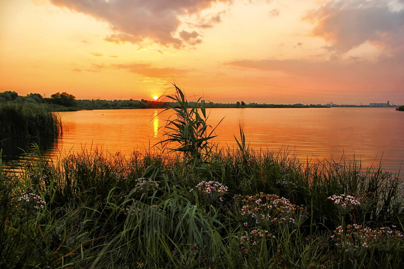 grass, body, Russia, image, flowers, water, 2K, best, sunset, beach, image hd, the Urals, best image, large, the river