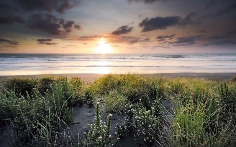 1080P, beach, s, Sunset, Sea, landscape, Best s