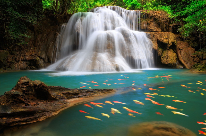 sea, environment, nature, no people, waterfall, long exposure, land, rainforest, scenics - nature, rock - object, solid, plant, blurred motion, forest