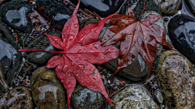 4k best  for desktop background, 4K