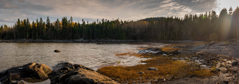 vegetation, parc du bic, scenics - nature, outdoors, rimouski, canada, abies, fir, woodland, tree, non-urban scene, solid, rock, nature, water, beauty in nature