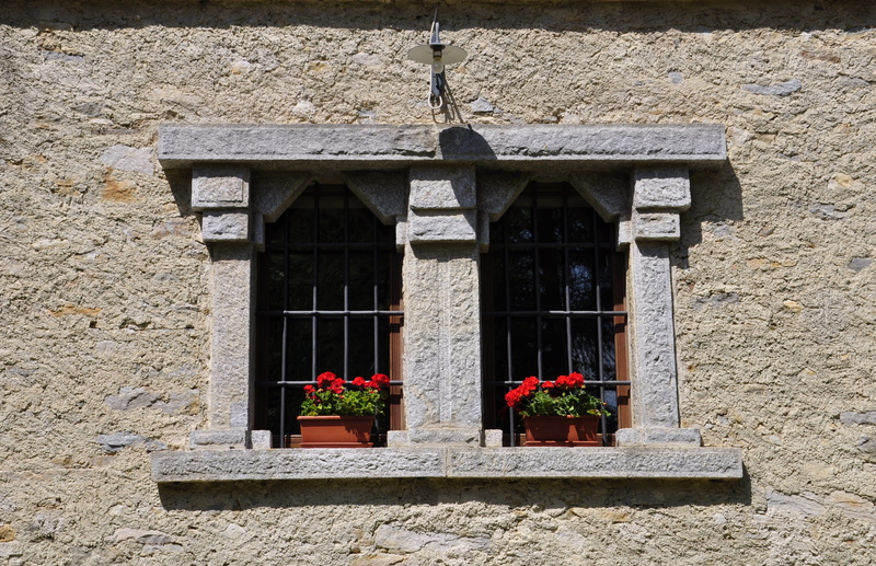 low angle view, building exterior, potted plant, building, door, outdoors, construction, italy, historian, palazzo, piemonte, built structure, history