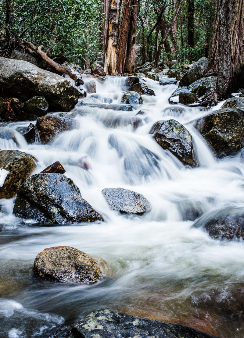 Nikon, D810, AF, Nature, Yosemite, scenics, Water, Trees, freshness, tree, outdoor, f/1, rock - Object, waterfall, inline, National Park, 35mm, 4K, Outdoors