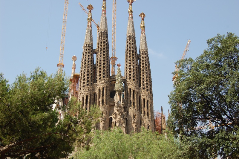clear sky, day, christianity, tree, belief, low angle view, nature, catalonia, growth, construction industry, plant, 2K, sky, architecture, cathedral