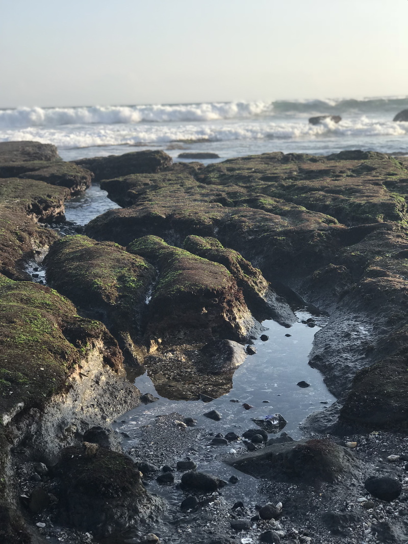 tranquility, indonesia, kediri, solid, motion, plateau, rock, land, plant, aerial view, outdoors, non-urban scene, rock - object, idyllic, algae, unnamed road
