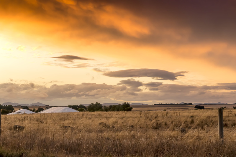 cloud - sky, color, grass, sunset, wheatbelt, land, field, landscape, outdoor, environment, Agriculture, orange color, Farm, countryside, dramatic, Paddock