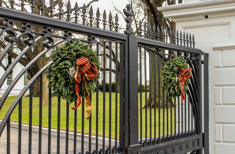 presidential home, christmas wreaths, flower pot, sunlight, green color, window, plant, growth, tree, wreath, railing, outdoors, no people, Gate, white