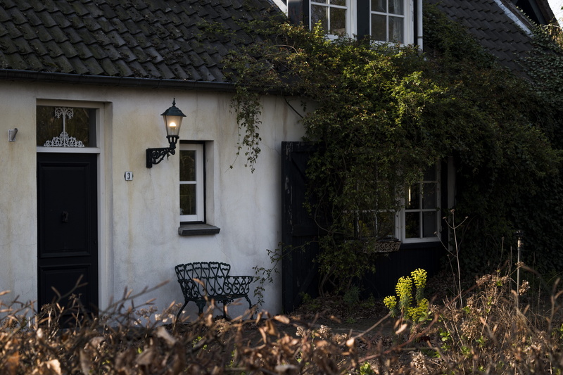 verde, home decor, porch, built structure, nature, electric lamp, residential district, growth, day, furniture, no people, shadow, patio, outdoors, plant part