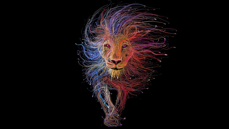 lion, animal, 1080P, abstract, minimalism