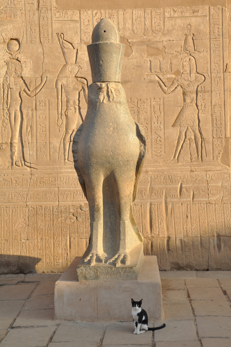 built structure, craft, Pharaoh, the past, pierre, ancient civilization, egyptian temple, travel, Egypt, columns, ancient, no people, mammal, sculpture
