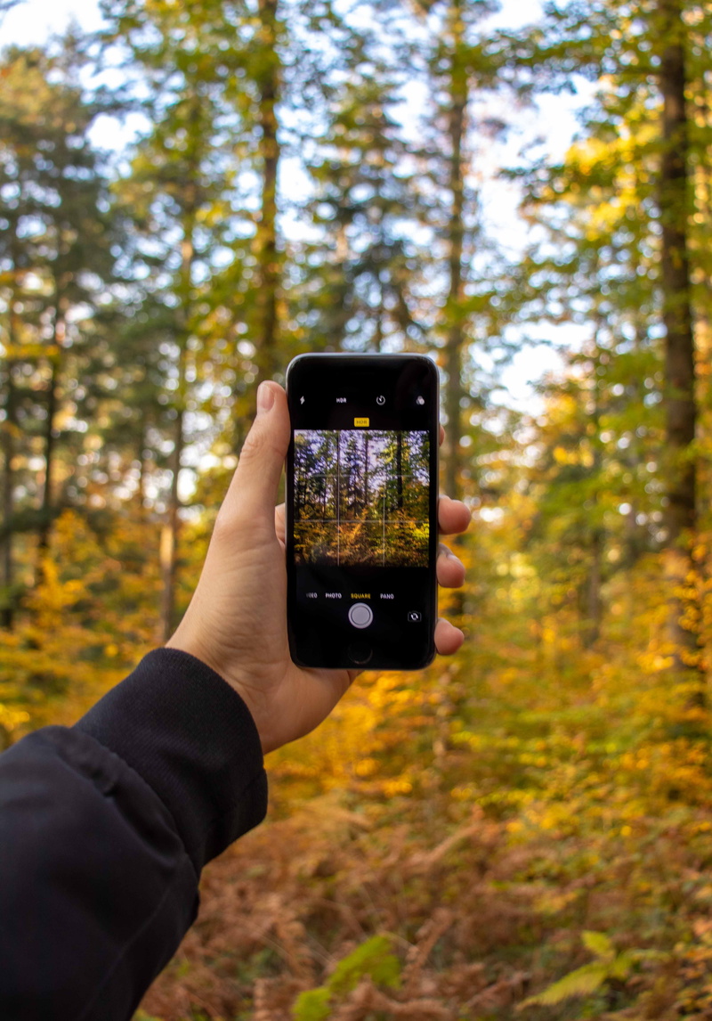 trees, outdoors, pictures, yellow, f1.8, canon, finger, one person, style, wooden, tumblr, woodland, green, mobile phone, screen, human body part, tree