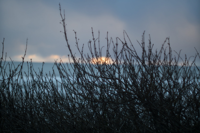 sky, beauty in nature, land, water, cloud - sky, grass, sunset, f1.8, plant, nature, no people, timothy grass, tranquil scene, tranquility, non-urban scene