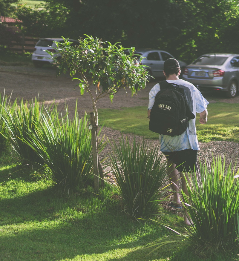 green color, cult, real people, rear view, sony, sunlight, one person, casual clothing, farm, 35mm, tattoo, hype, hippie, a600, leisure activity, men, tree