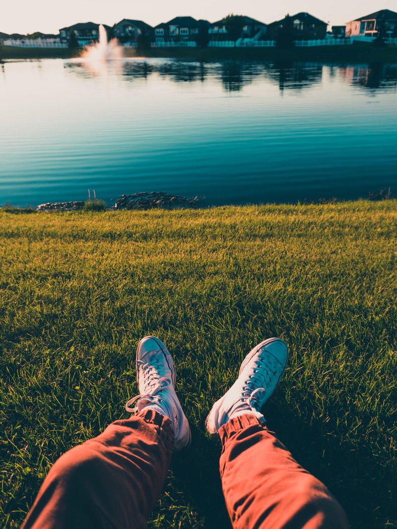 personal perspective, human body part, converse, plant, body part, one person, day, saskatchewan, human leg, golden hour, low section, white, canada, grass