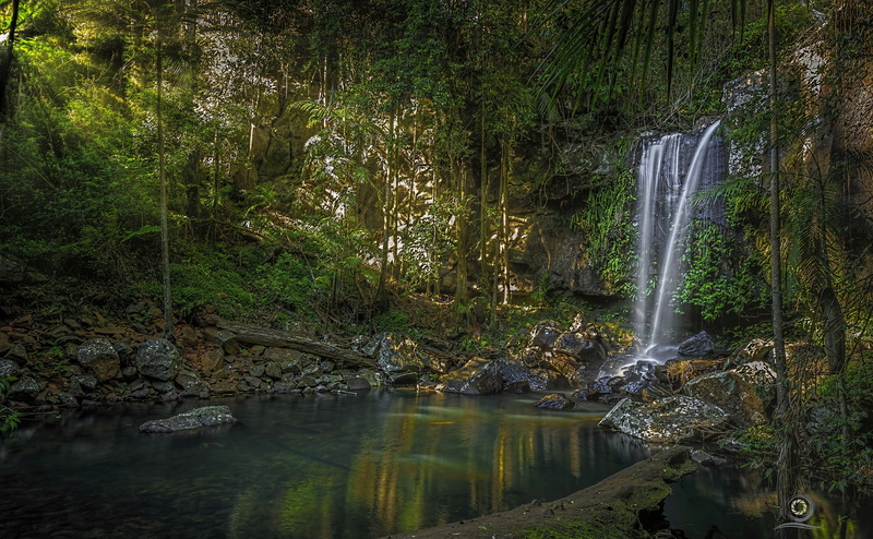 Queensland, Tamborine National Park, river, QLD, waterfall, 2K, Australia, Curtis Falls, forest, National Park Tambourine