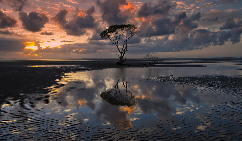 tree, water, Australia, QLD, the evening, Lizzie Photography, clouds, the sky, 1080P, reflection