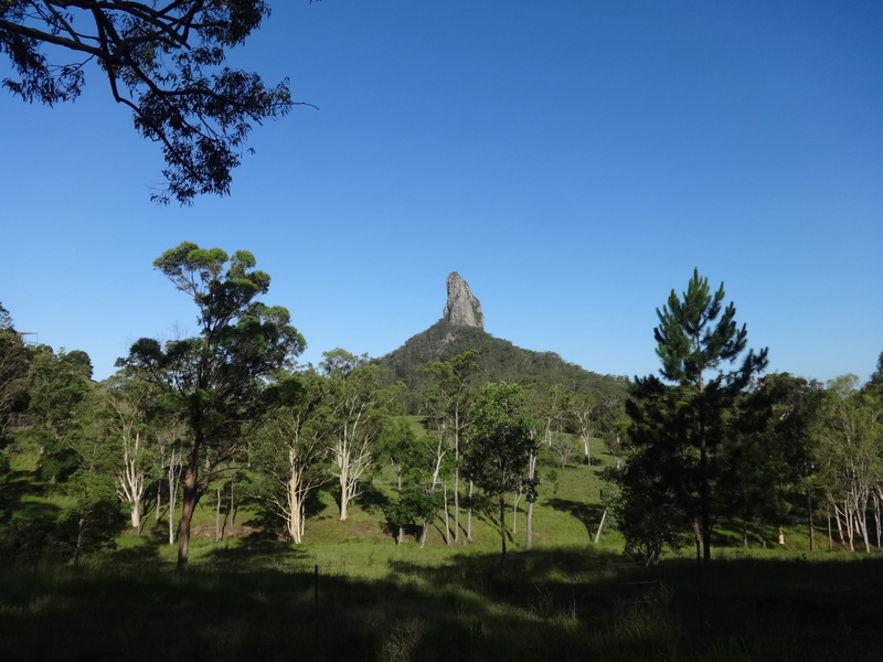 tree, environment, Glasshouse Mountains, landscape, field, 2K, non-urban scene, travel Locations, beauty in nature, sunlight, sky, green Color, scenics