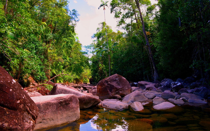 desktop, plant, 2K, stream - flowing water, nature, water, forest, scenics - nature, rock - object, sky, river, hd, tranquility, tree, flowing water