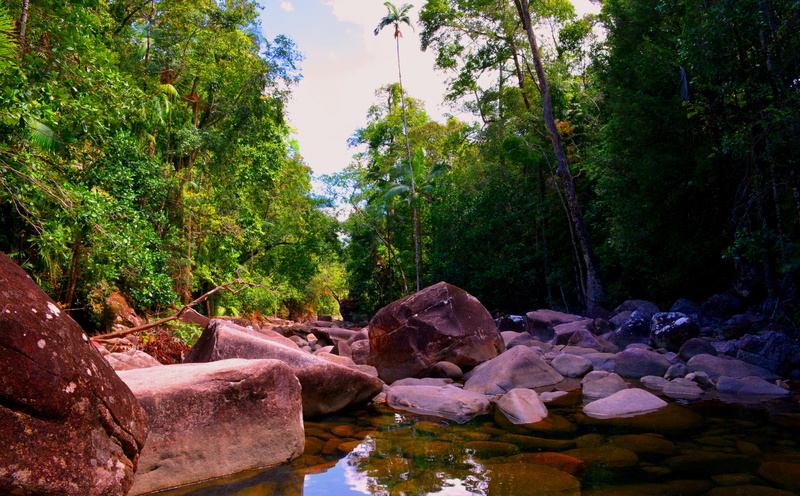 outdoors, 5K, rock, forest, tree, land, water, green color, no people, tranquil scene, hatton, finch, river, nature, tranquility, flowing water, Australia