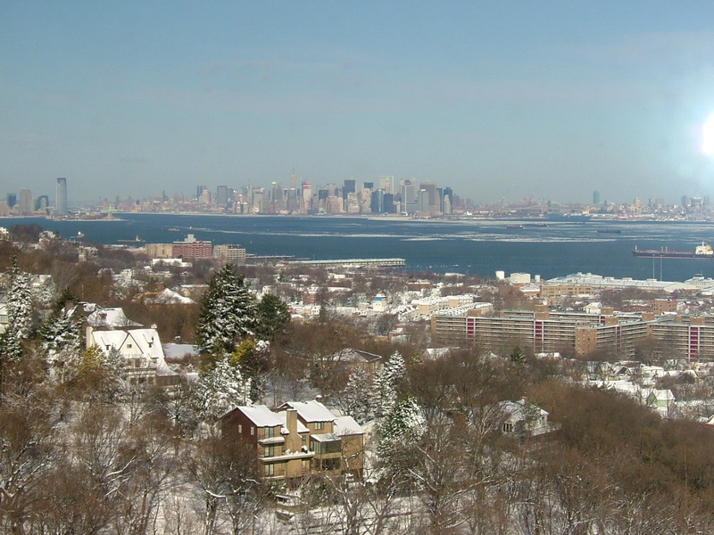 outdoors, Statue of Liberty, residential district, nature, tree, water, building, high angle view, New York City, staten island, 720P, cityscape, plant