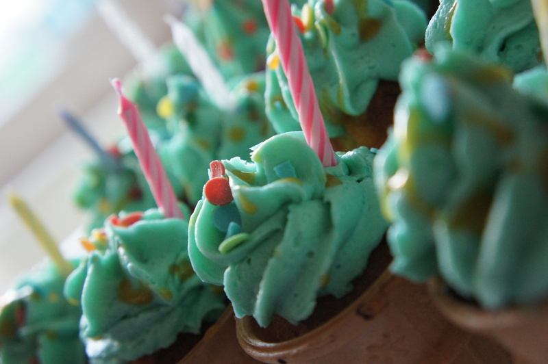 4K, fattening, celebration, food and drink, food, agriculture, wellbeing, frosting, focus on foreground, green, sweet, party, growth, pastry, succulent plant