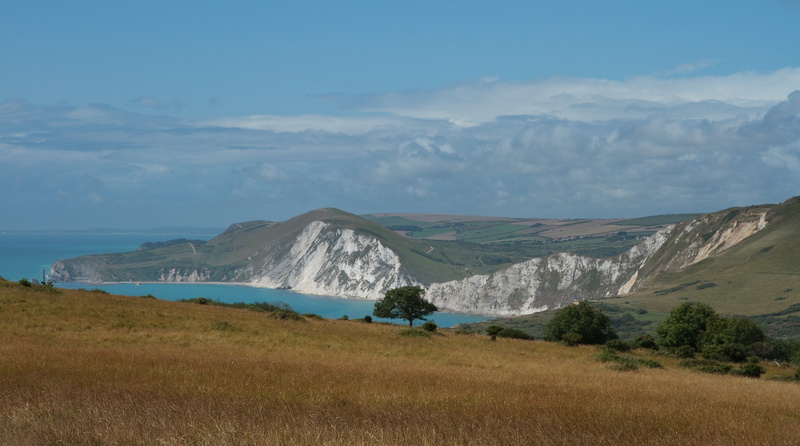 Coastline, cloud - sky, Chalk, Cliffs, whitecliffs, beauty in nature, canon, Outdoor, Travel, unitedkingdom, dorset, grassland, plant, f3556, Field, water