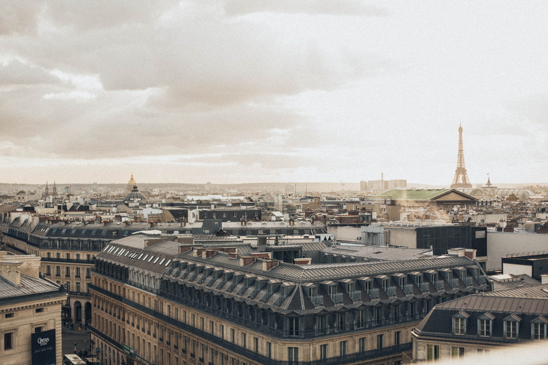 day, travel destinations, roofs, europe, city, sight, building exterior, cityscape, nature, france, urban, daylight, paris, place of worship, modern, photography