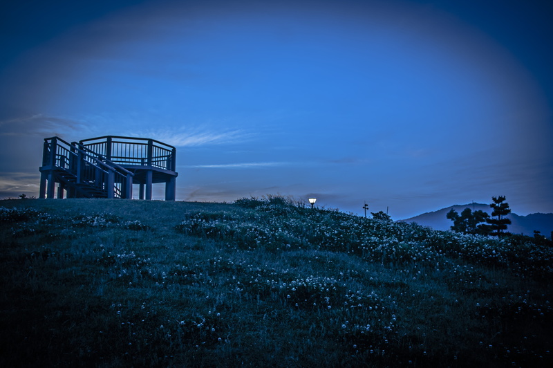 no people, field, Sunset, dusk, landscape, park, architecture, plant, lighting, environment, nature, sky, tranquil scene, growth, Japan, blue, oil industry