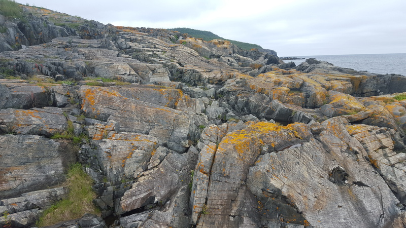 outdoors, water, beauty in nature, solid, rocky, cloud - sky, rugged, sky, rock formation, rocky coastline, sea, newfoundland, atlantic, beach, environment