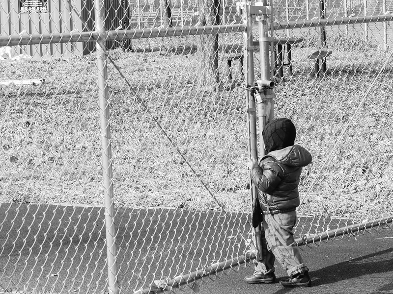 brooklyn, new york, lifestyles, boundary, barrier, olympus, rear view, chainlink fence, one person, protection, day, fence, 4K, outdoors, men, leisure activity