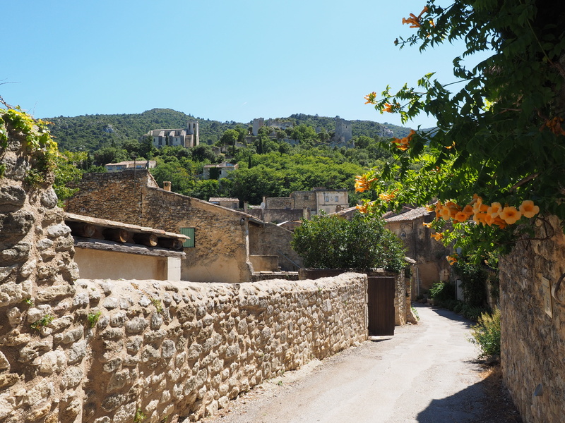 collegiate, department of vaucluse, notre-dame-de-dolidon, stone walls, stone wall, mountain, france, built structure, sky, growth, oppede, plant, places of interest